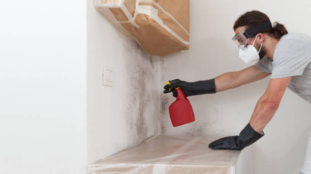 Professional Bathroom Mold Removal technician working in La Grange, KY